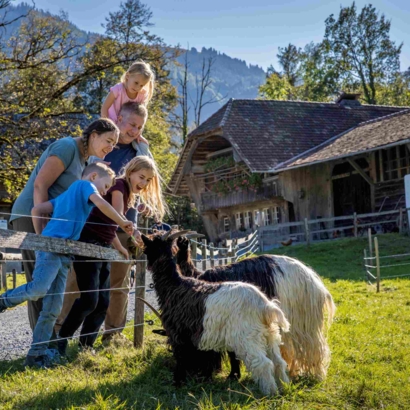 Ballenberg, Musée suisse en plein air