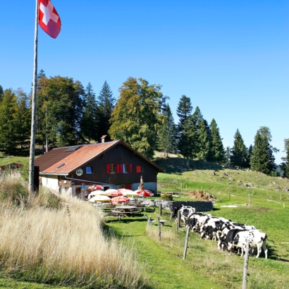 Gîte du Mont-des-Cerfs