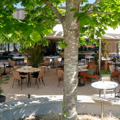 Aux Terrasses de Troinex