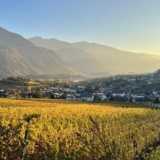 Une journée gourmande au cœur des vignes valaisannes
